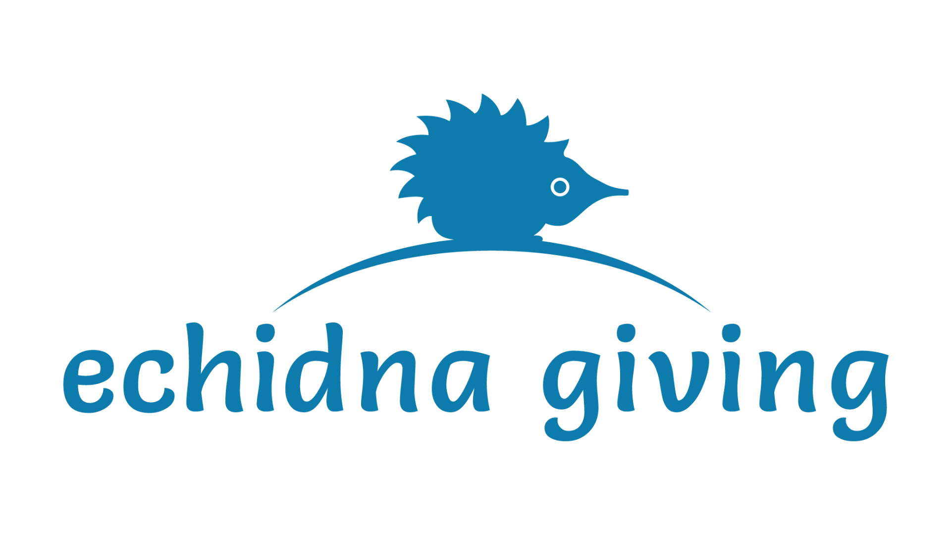 Echidna Giving logo